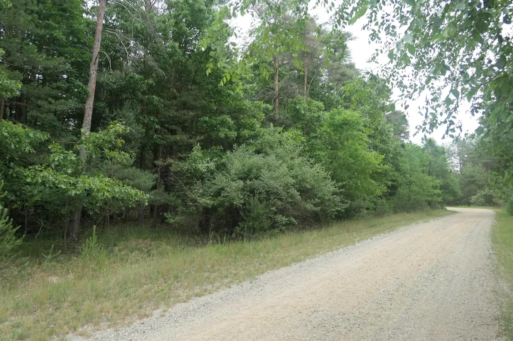 Merrill Drive Richland Township MI 48891