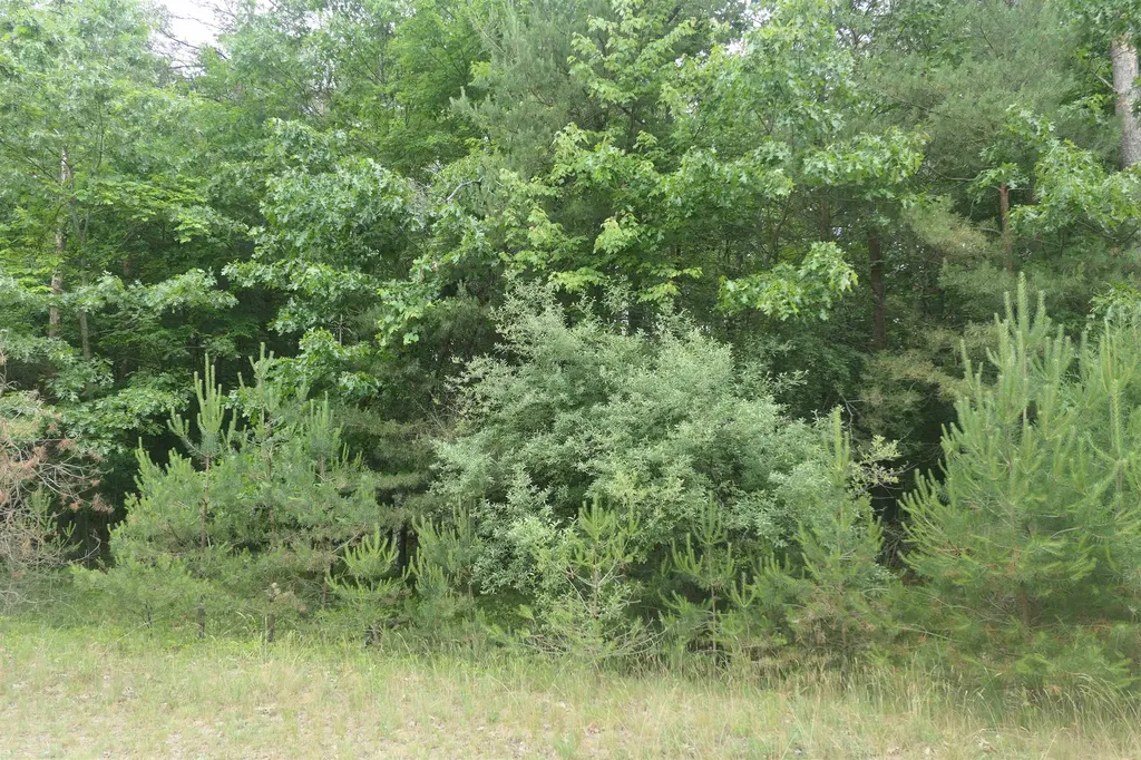 Merrill Drive Richland Township MI 48891