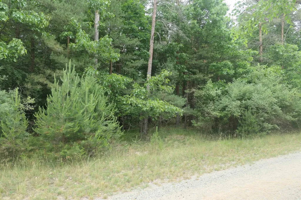 Merrill Drive Richland Township MI 48891