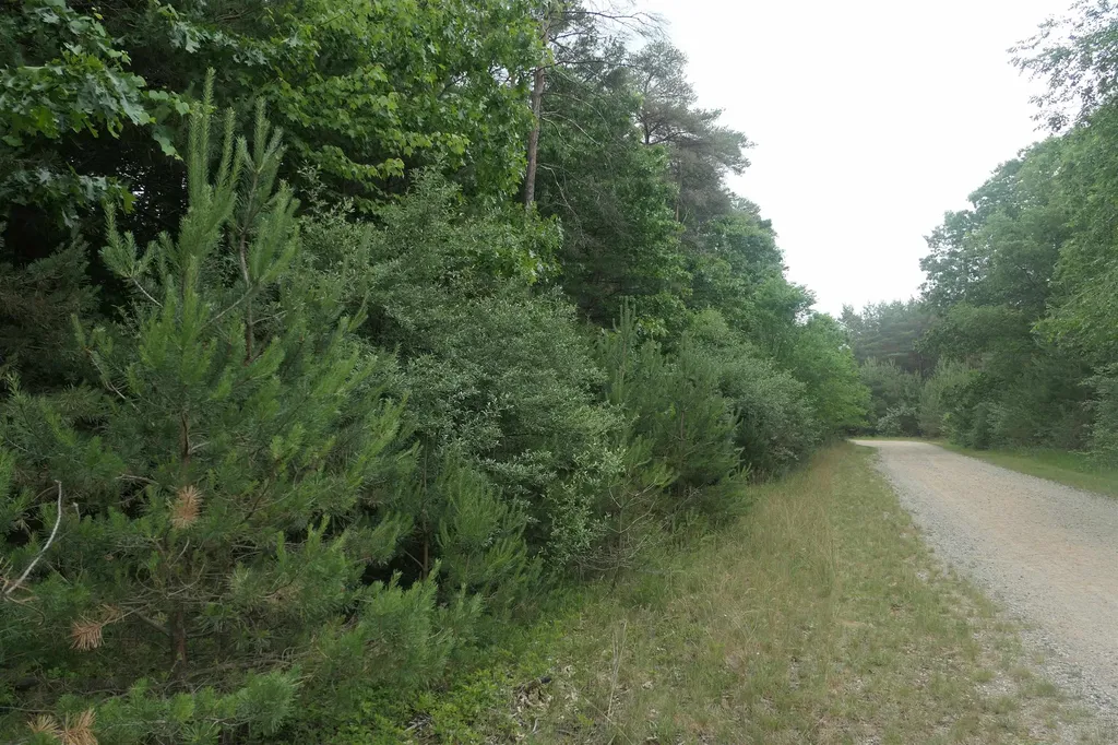 Merrill Drive Richland Township MI 48891