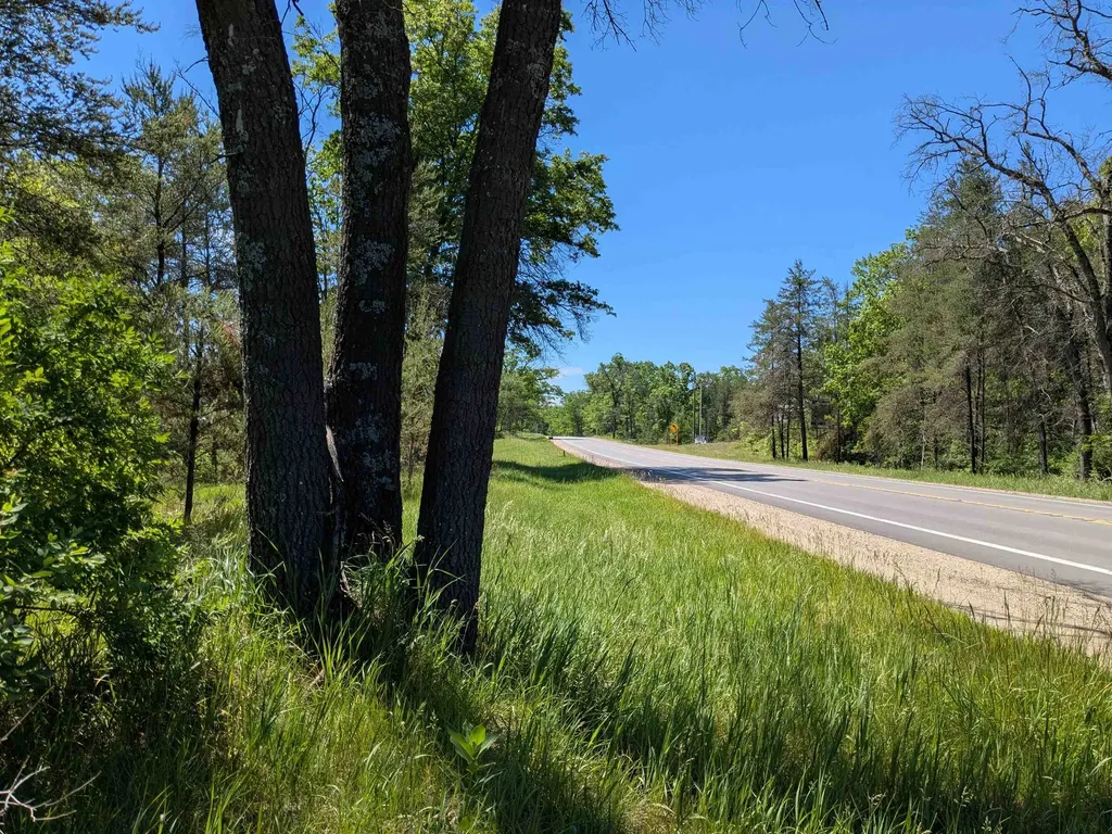 Road Tbd Lilley Township MI 49309