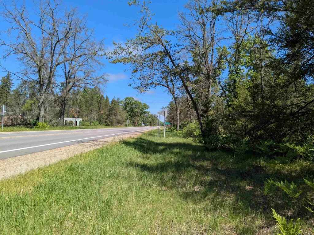 Road Tbd Lilley Township MI 49309