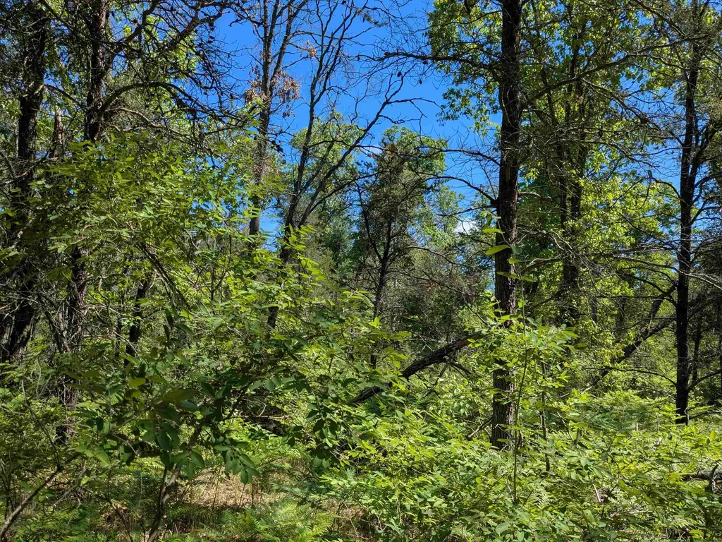 Road Tbd Lilley Township MI 49309