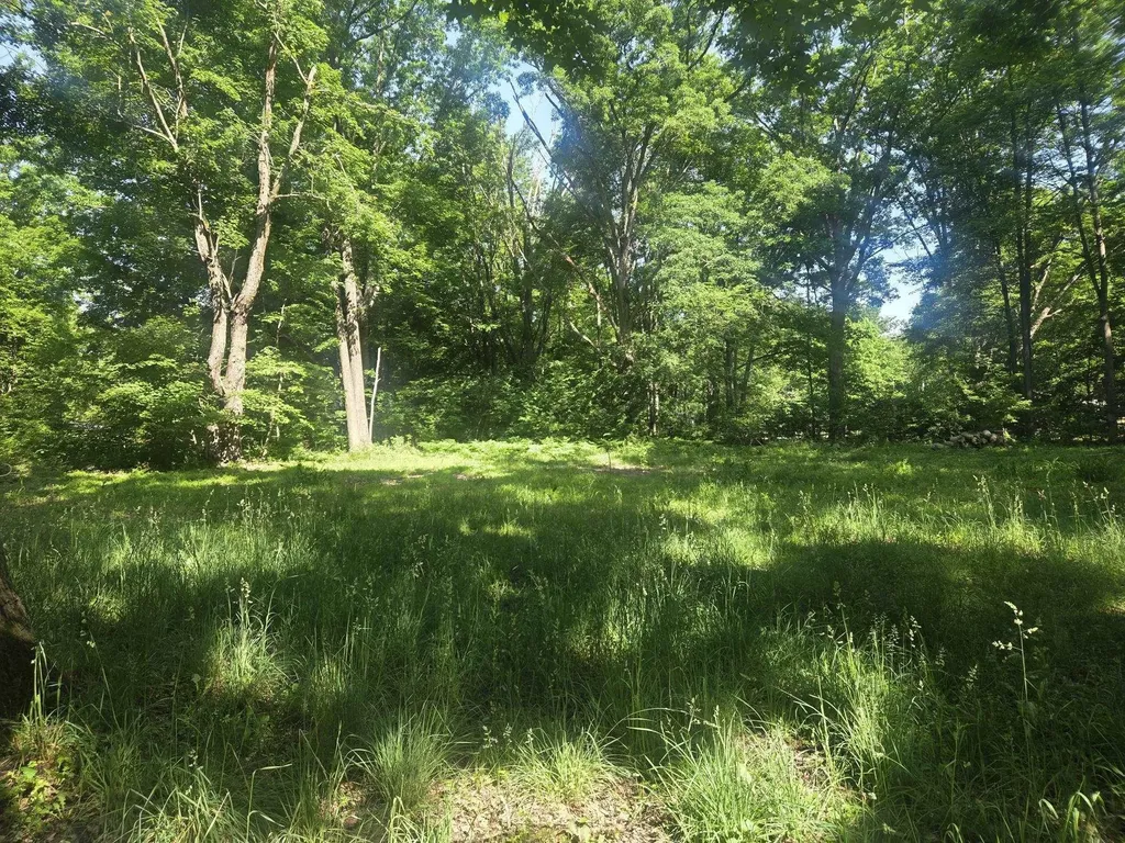 7820 Wilderness Drive Sherman Township MI 48893
