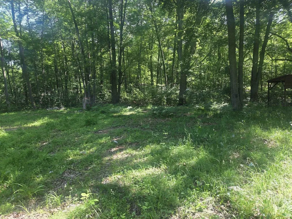 7820 Wilderness Drive Sherman Township MI 48893