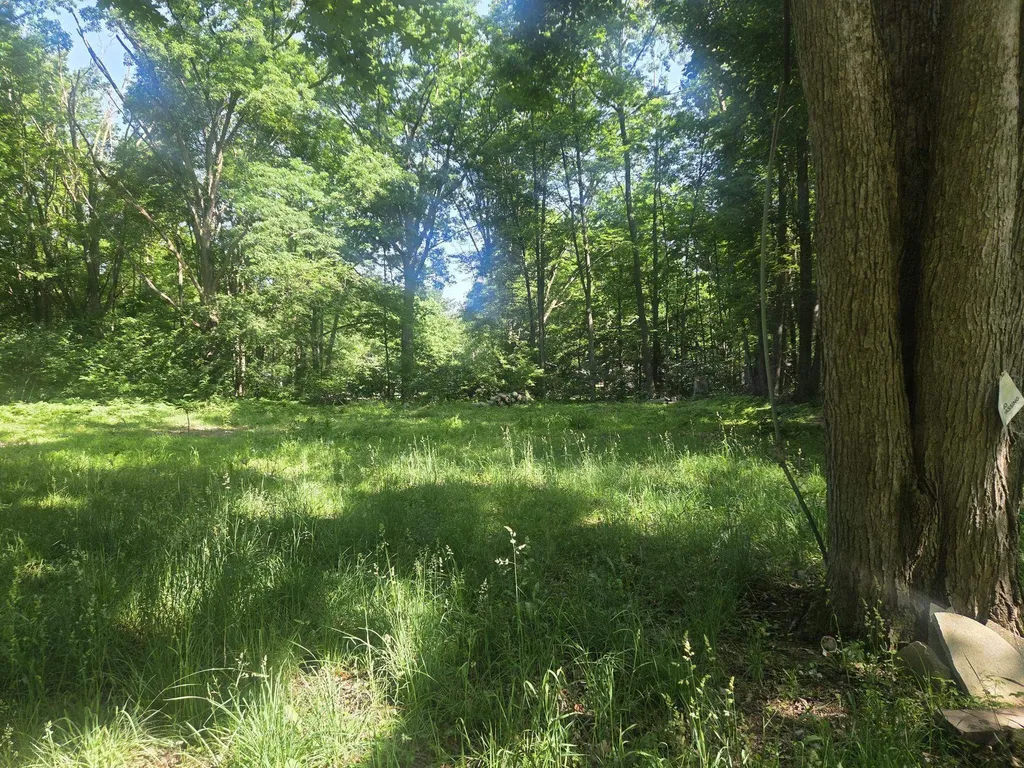 7820 Wilderness Drive Sherman Township MI 48893