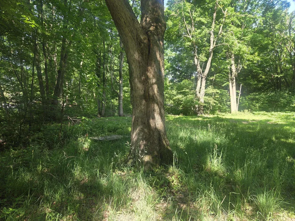 7820 Wilderness Drive Sherman Township MI 48893
