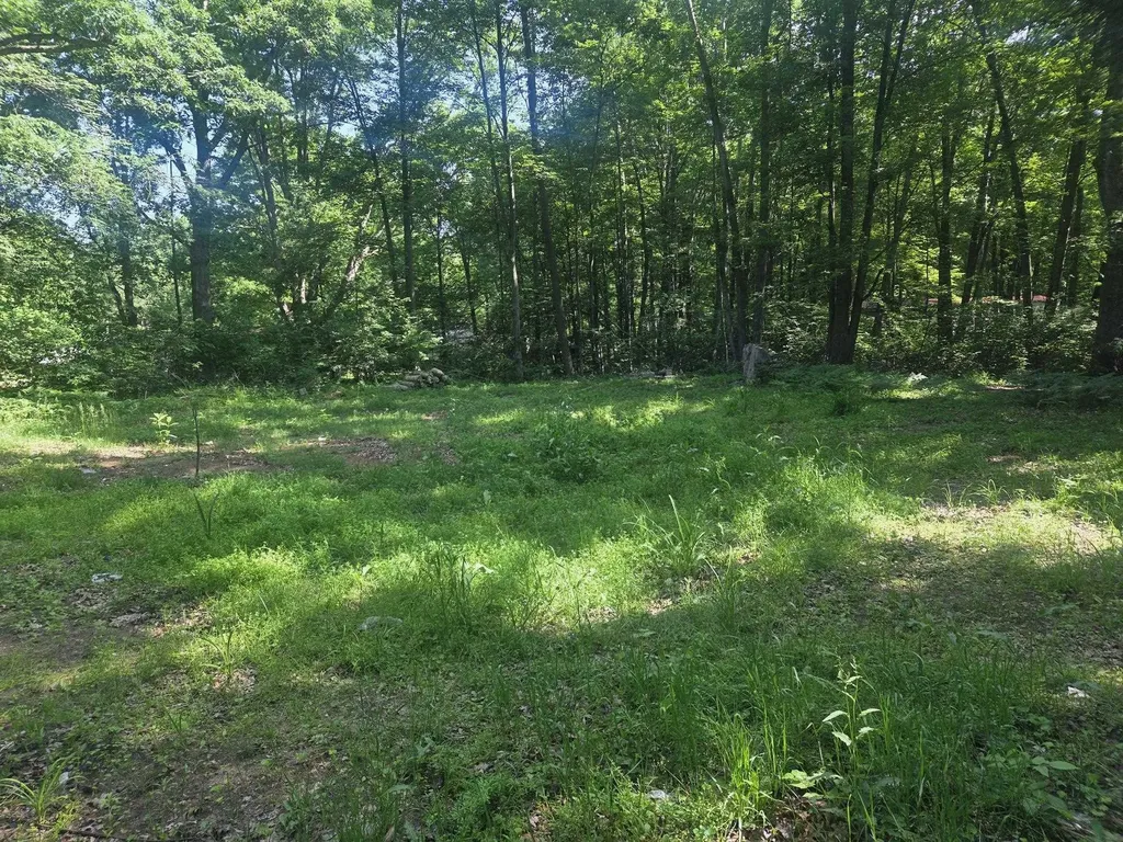 7820 Wilderness Drive Sherman Township MI 48893
