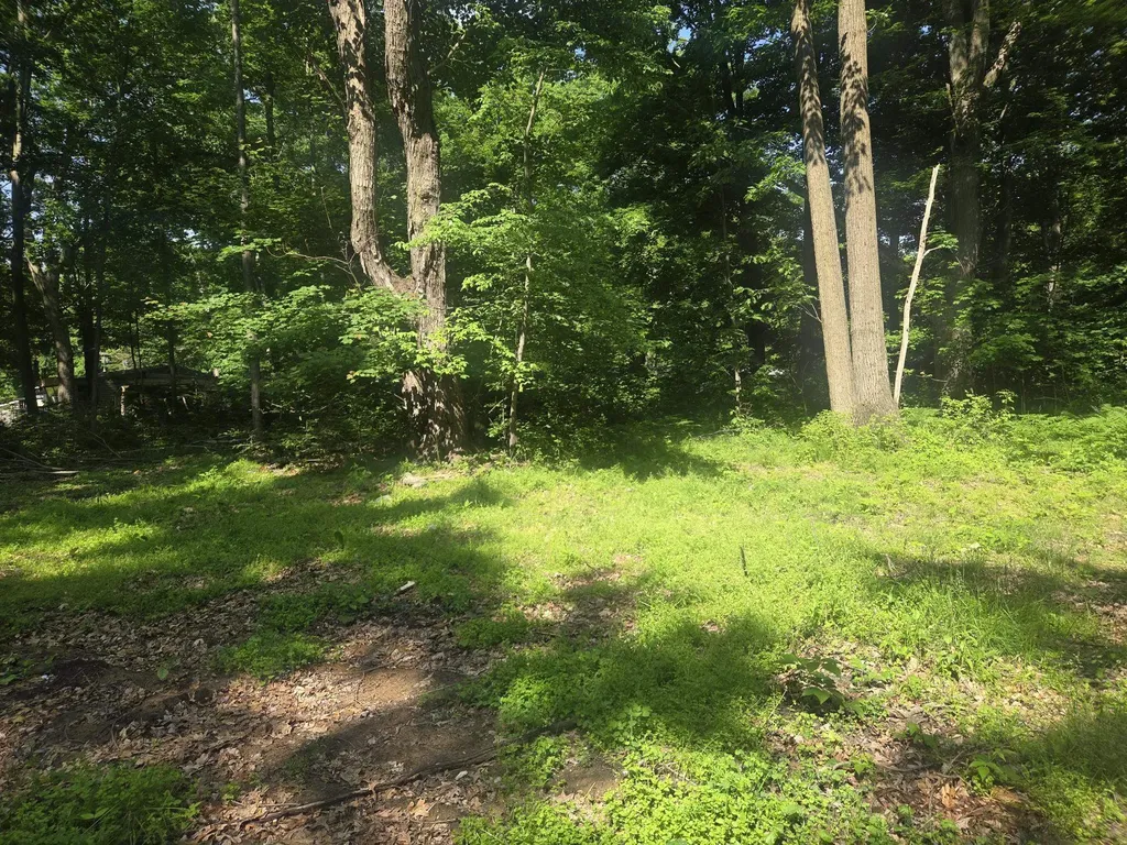 7820 Wilderness Drive Sherman Township MI 48893