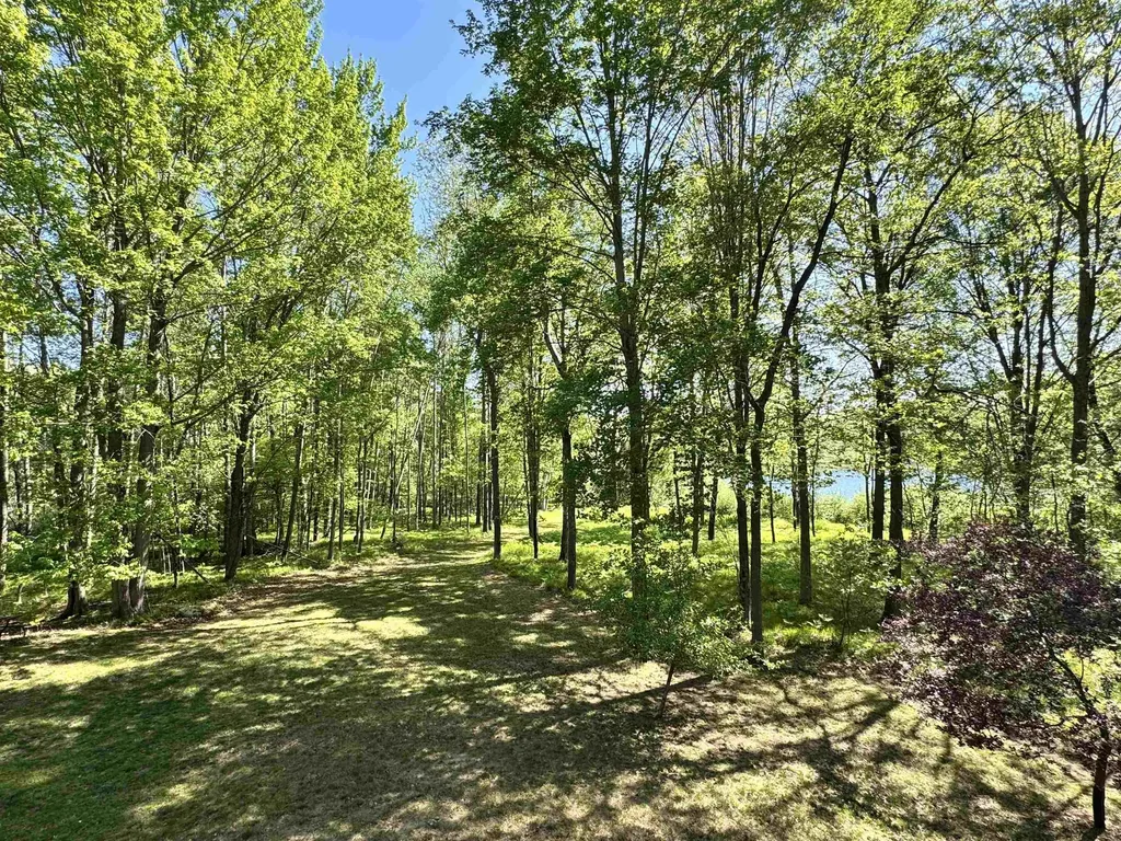 4611 Teaberry Lane Lincoln Township MI 48622