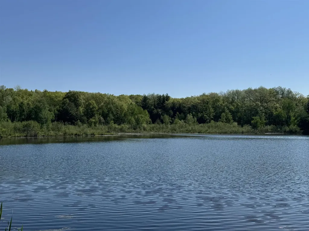 4611 Teaberry Lane Lincoln Township MI 48622