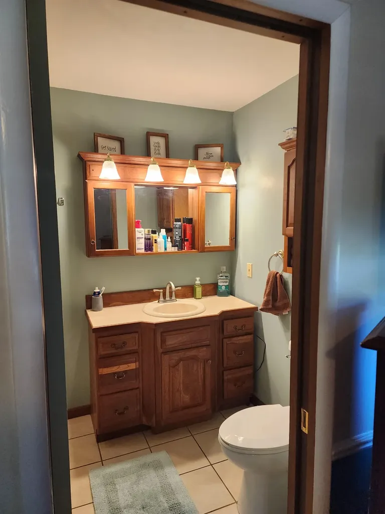 540 Fairlane Drive Alma City MI 48801