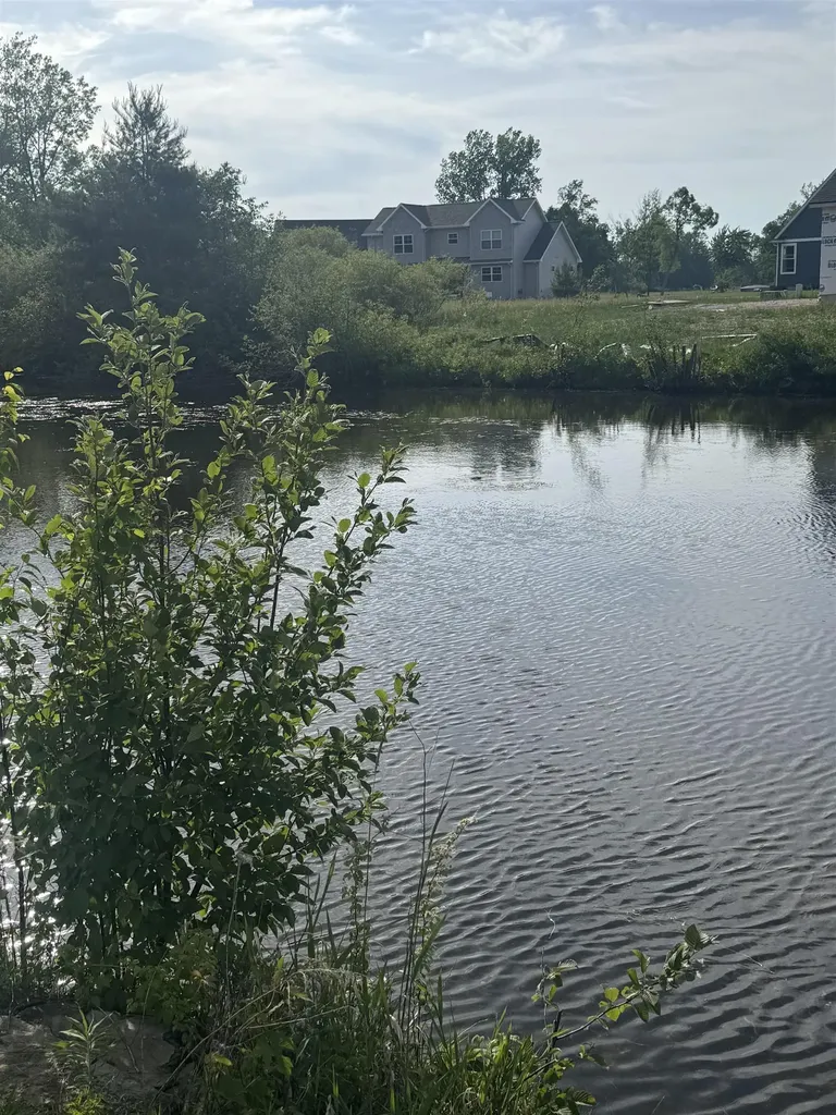 1196 Clubhouse Drive Broomfield Township MI 48893