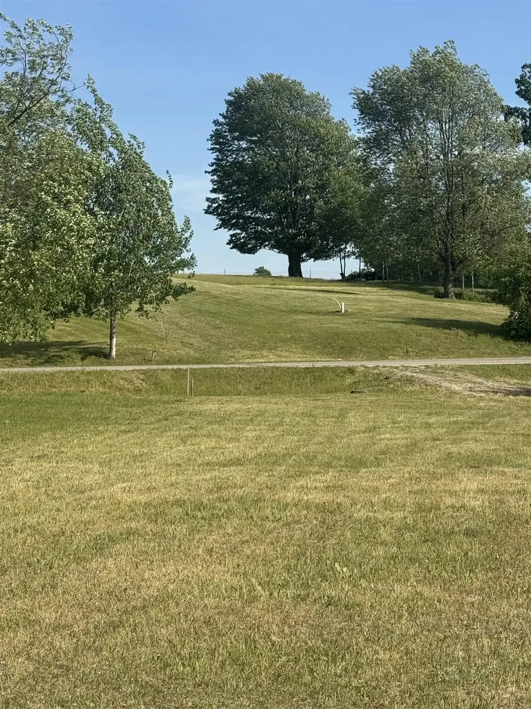 1196 Clubhouse Drive Broomfield Township MI 48893
