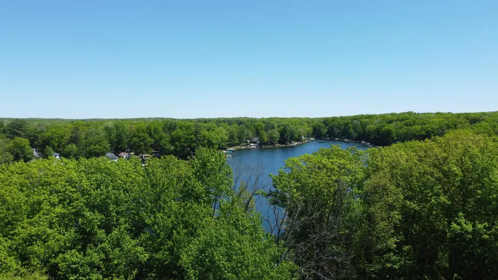 Tbd W Lake George Drive Lincoln Township MI 48632