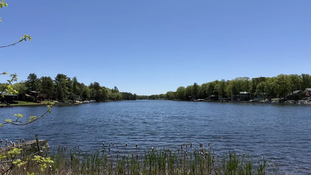 Tbd W Lake George Drive Lincoln Township MI 48632