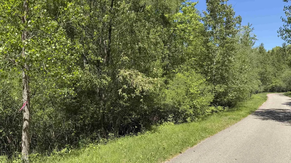 Tbd W Lake George Drive Lincoln Township MI 48632