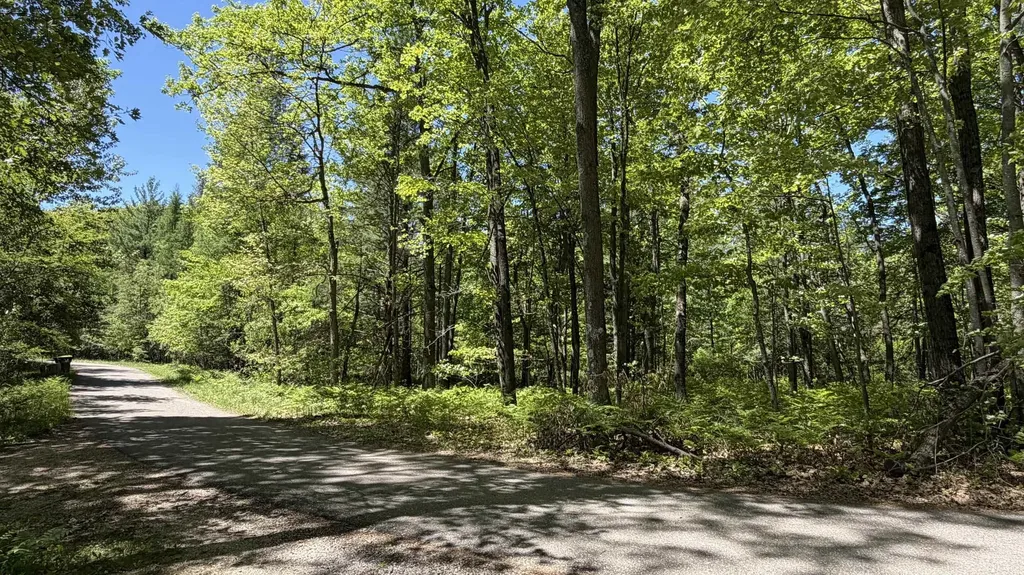 Tbd W Lake George Drive Lincoln Township MI 48632