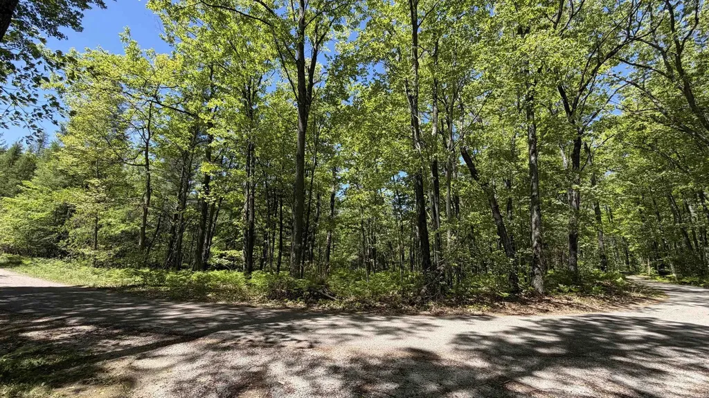 Tbd W Lake George Drive Lincoln Township MI 48632
