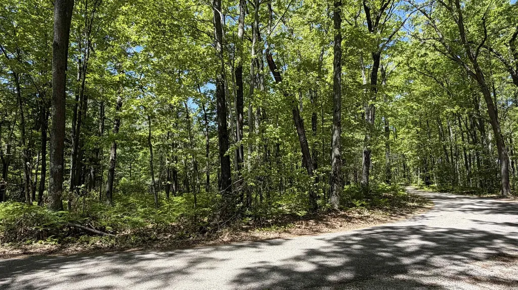Tbd W Lake George Drive Lincoln Township MI 48632