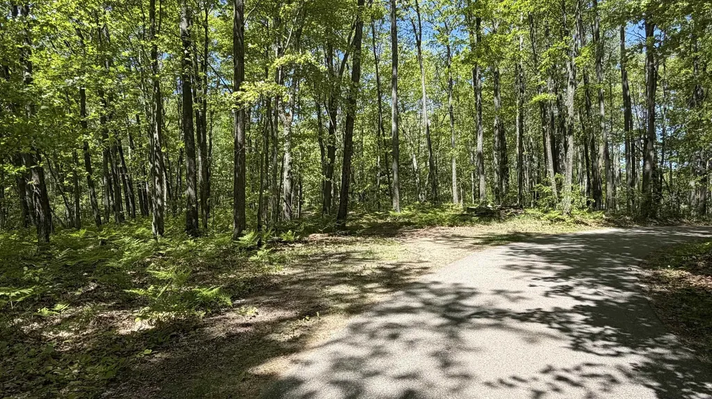 Tbd W Lake George Drive Lincoln Township MI 48632