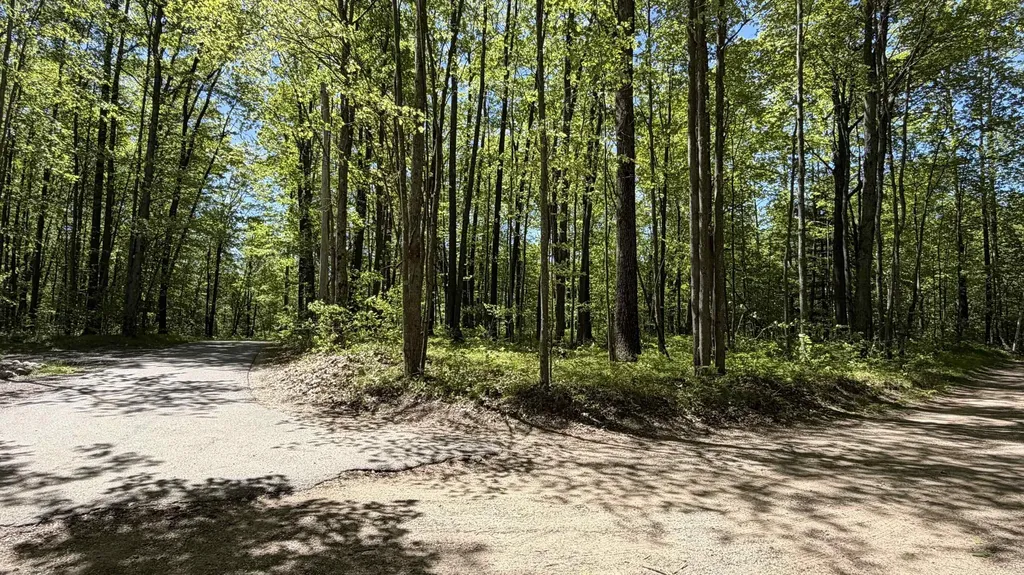 Tbd W Lake George Drive Lincoln Township MI 48632