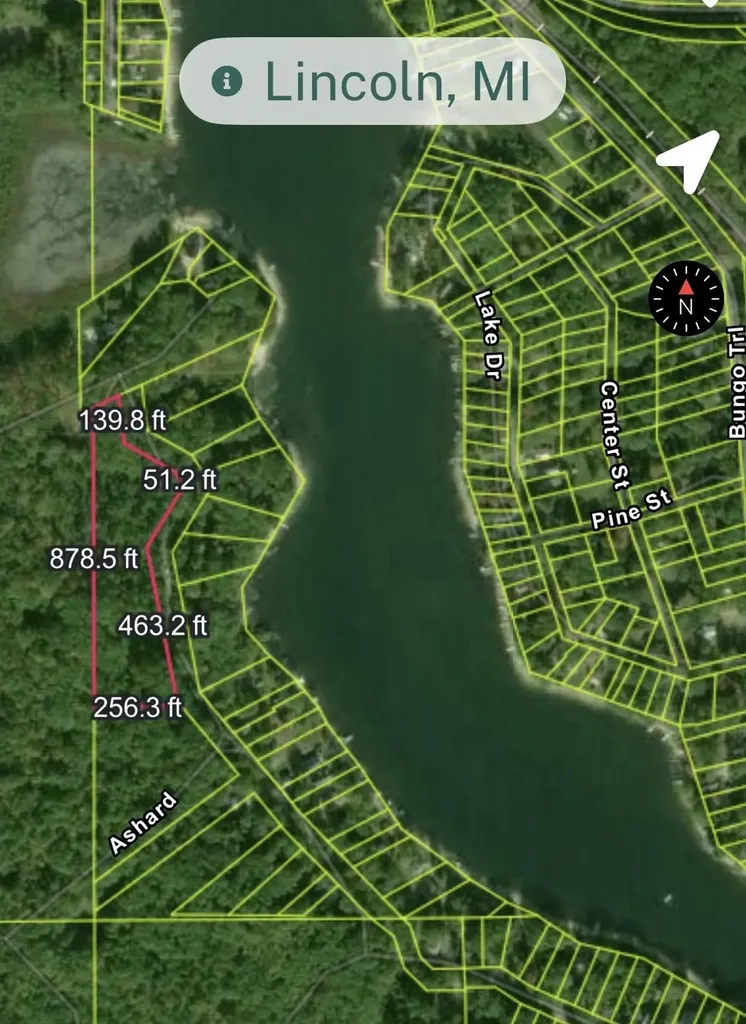 Tbd W Lake George Drive Lincoln Township MI 48632