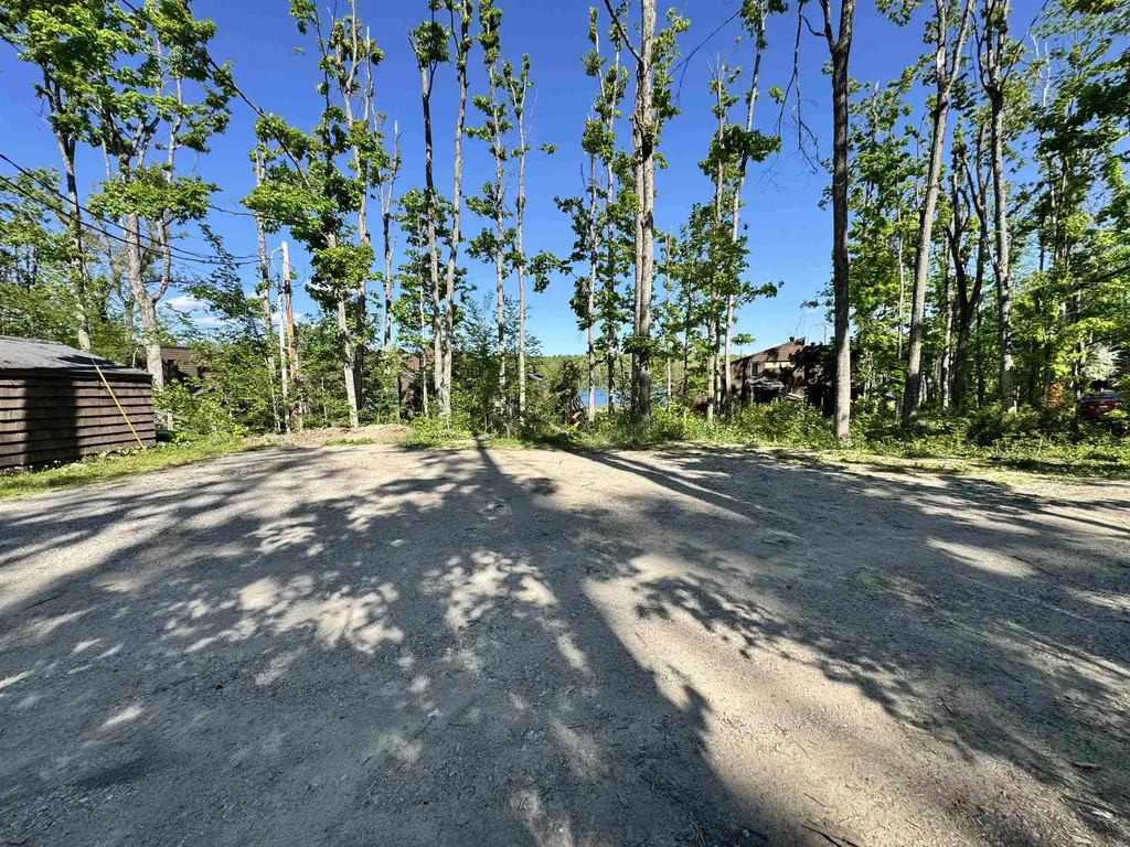 1917 Limberlost Lane Elmira Township MI 49735
