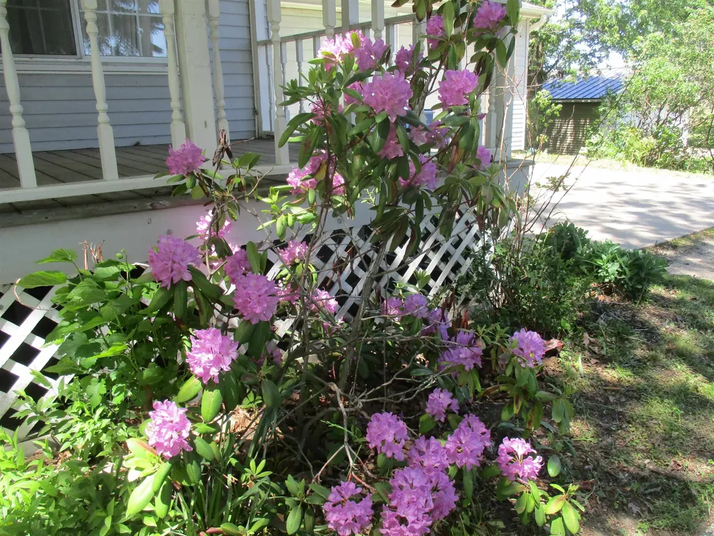 621 Wright Street Breckenridge Village MI 48615