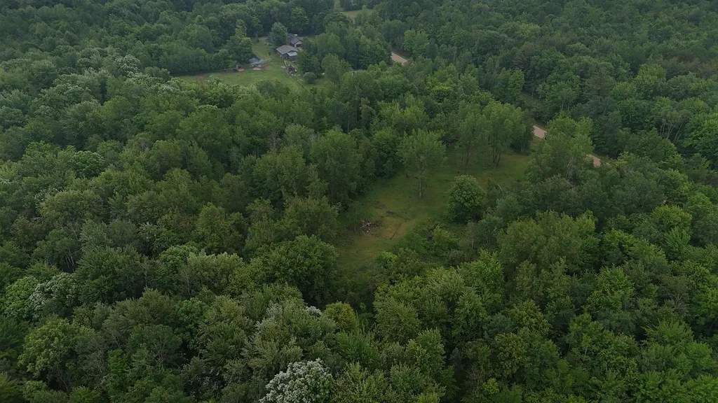 4280 W Shepherd Road Jasper Township MI 48880