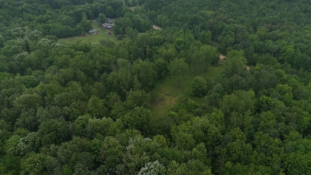 4280 W Shepherd Road Jasper Township MI 48880