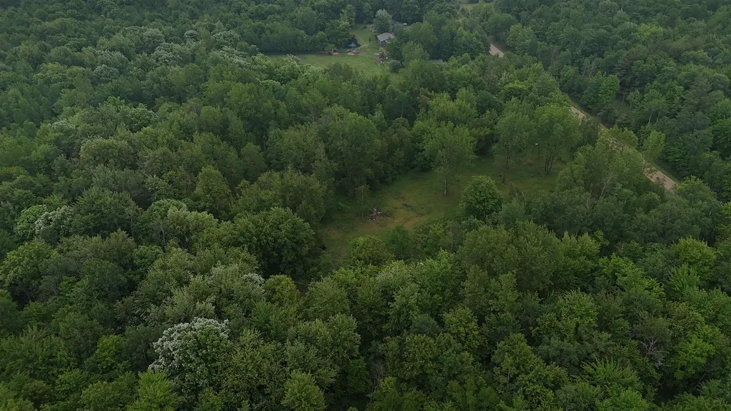 4280 W Shepherd Road Jasper Township MI 48880