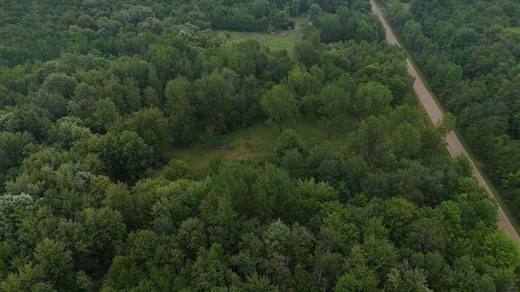 4280 W Shepherd Road Jasper Township MI 48880