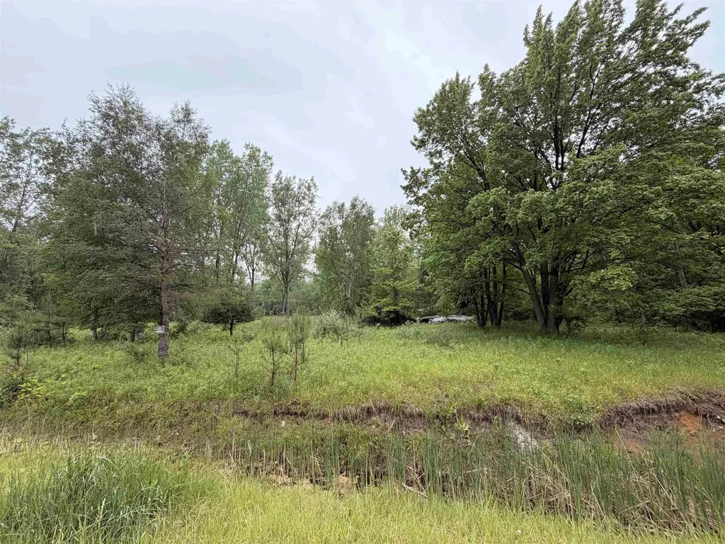 4280 W Shepherd Road Jasper Township MI 48880