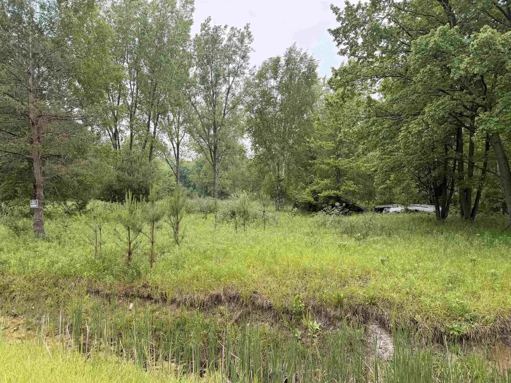 4280 W Shepherd Road Jasper Township MI 48880