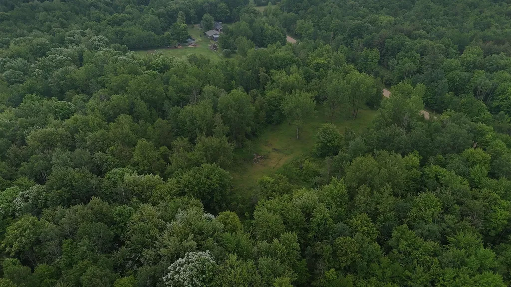 4280 W Shepherd Road Jasper Township MI 48880