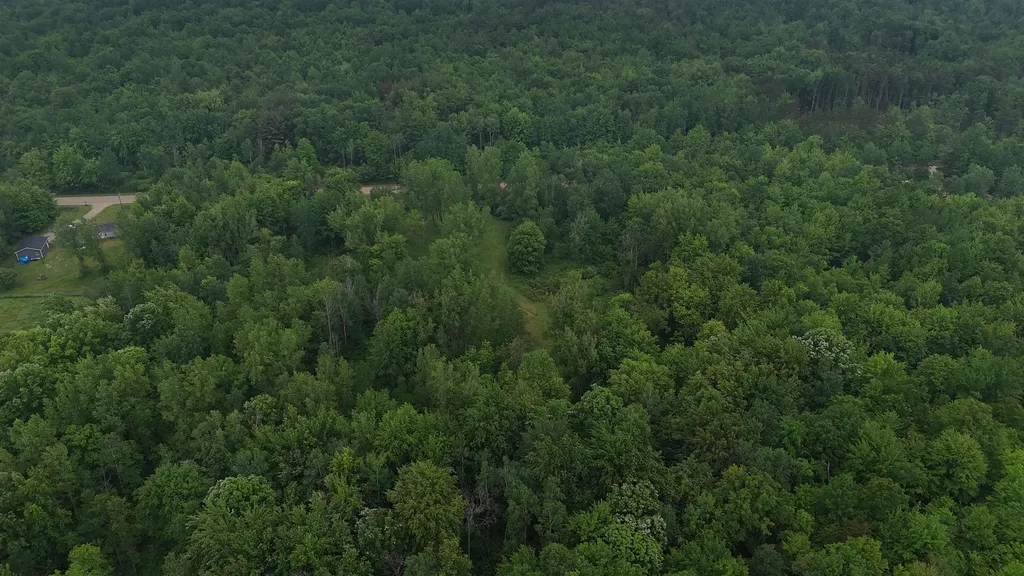 4280 W Shepherd Road Jasper Township MI 48880