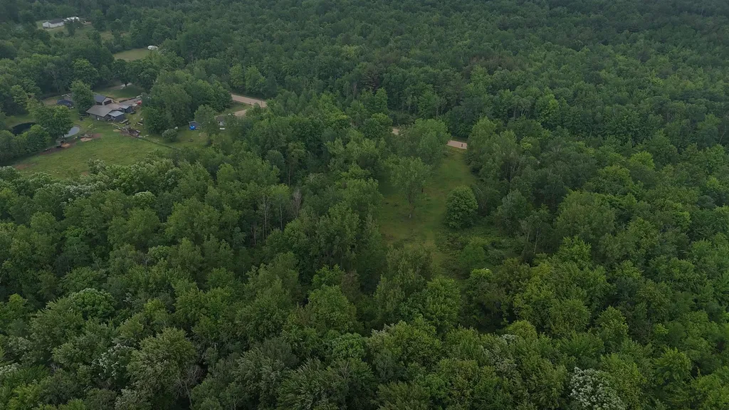 4280 W Shepherd Road Jasper Township MI 48880
