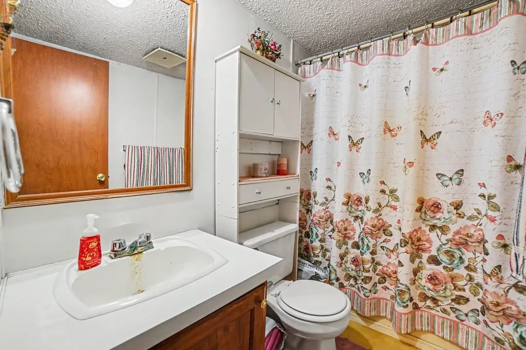 9365 W North County Line Road Seville Township MI 48883