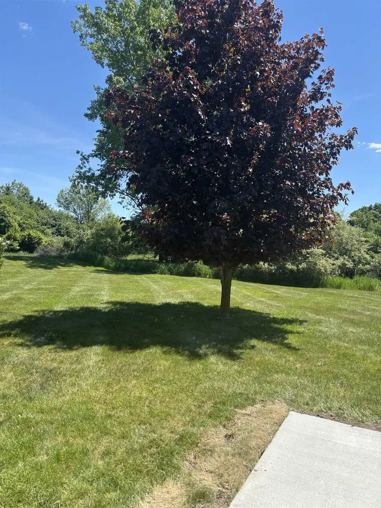 3092 E Deerfield Union Charter Township MI 48858