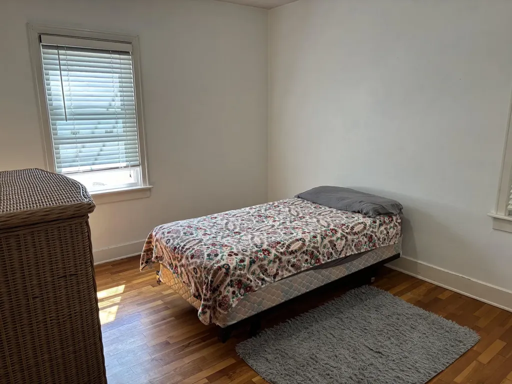 1019 S Fancher Avenue Mt. Pleasant City MI 48858