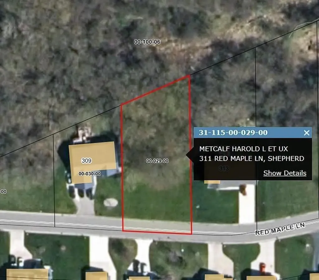 311 Red Maple Lane Coe Township MI 48883