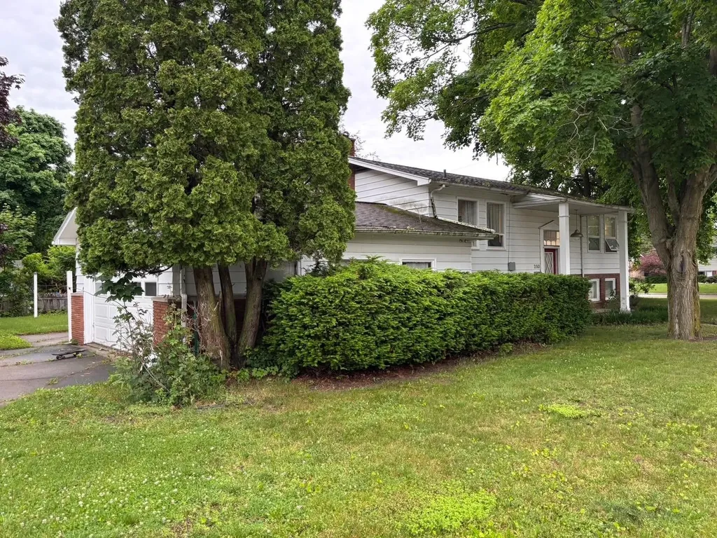 250 Purdy Drive Alma City MI 48801
