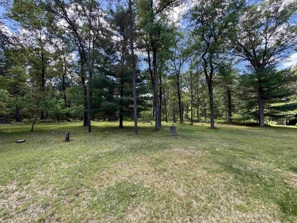 3308 Morrison Road Mills Township MI 48661