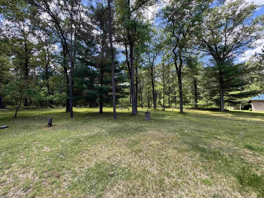 3308 Morrison Road Mills Township MI 48661