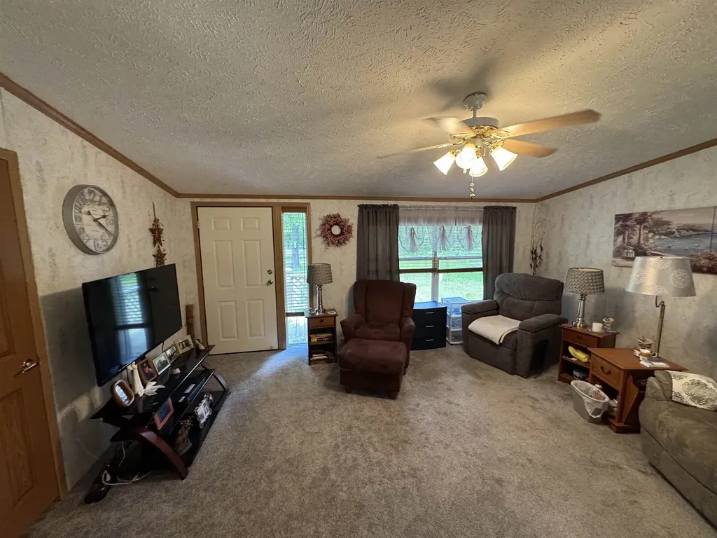 3308 Morrison Road Mills Township MI 48661