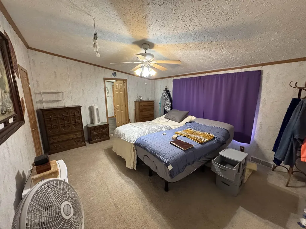 3308 Morrison Road Mills Township MI 48661