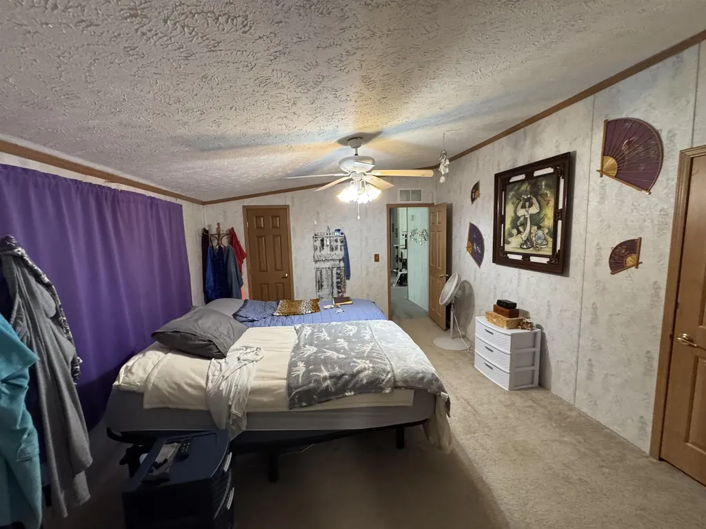 3308 Morrison Road Mills Township MI 48661