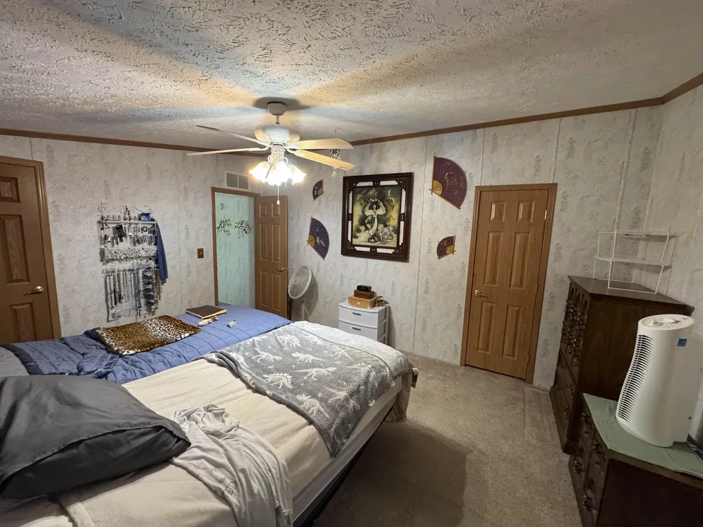3308 Morrison Road Mills Township MI 48661