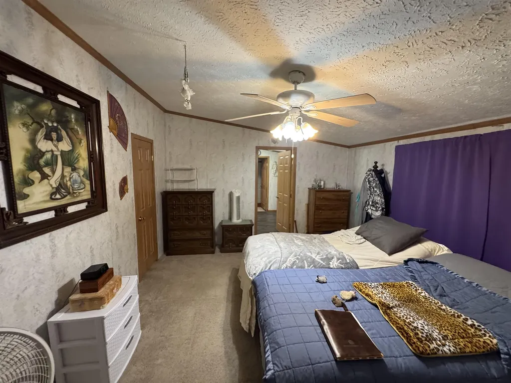 3308 Morrison Road Mills Township MI 48661